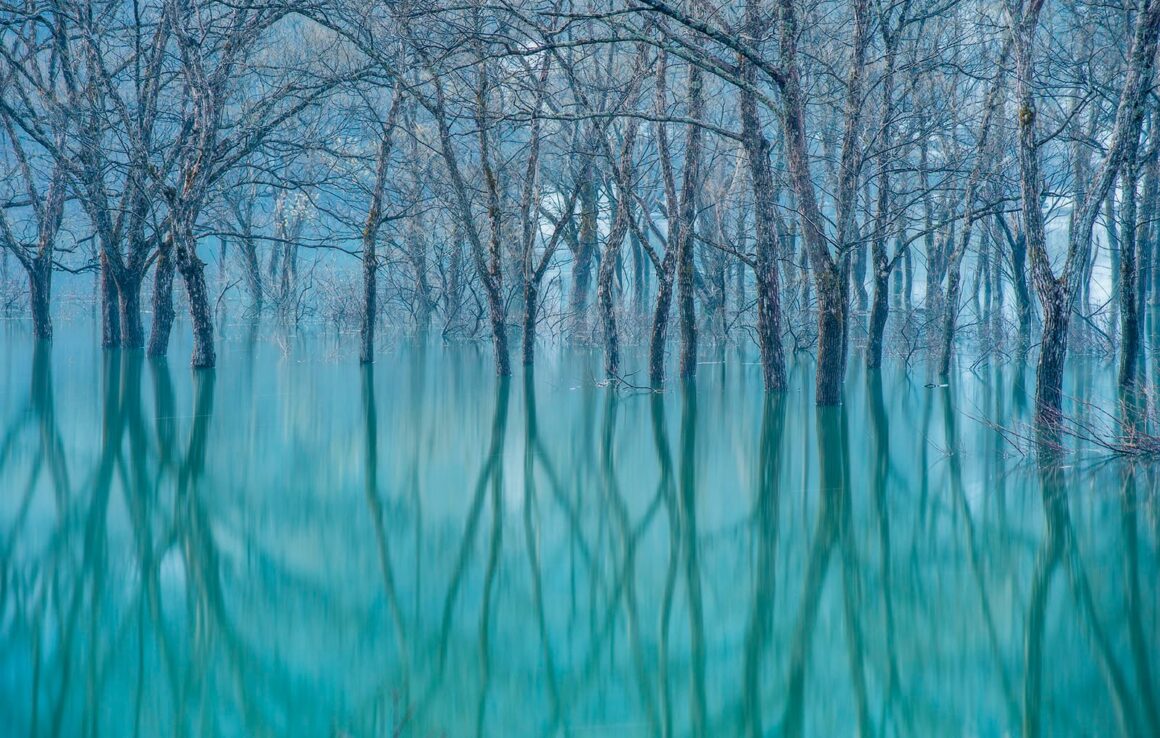 Yılın Seyahat Fotoğrafçısı 2023 Kazananları 11 46 TPOTY 2023 Landscape Com KKoseki