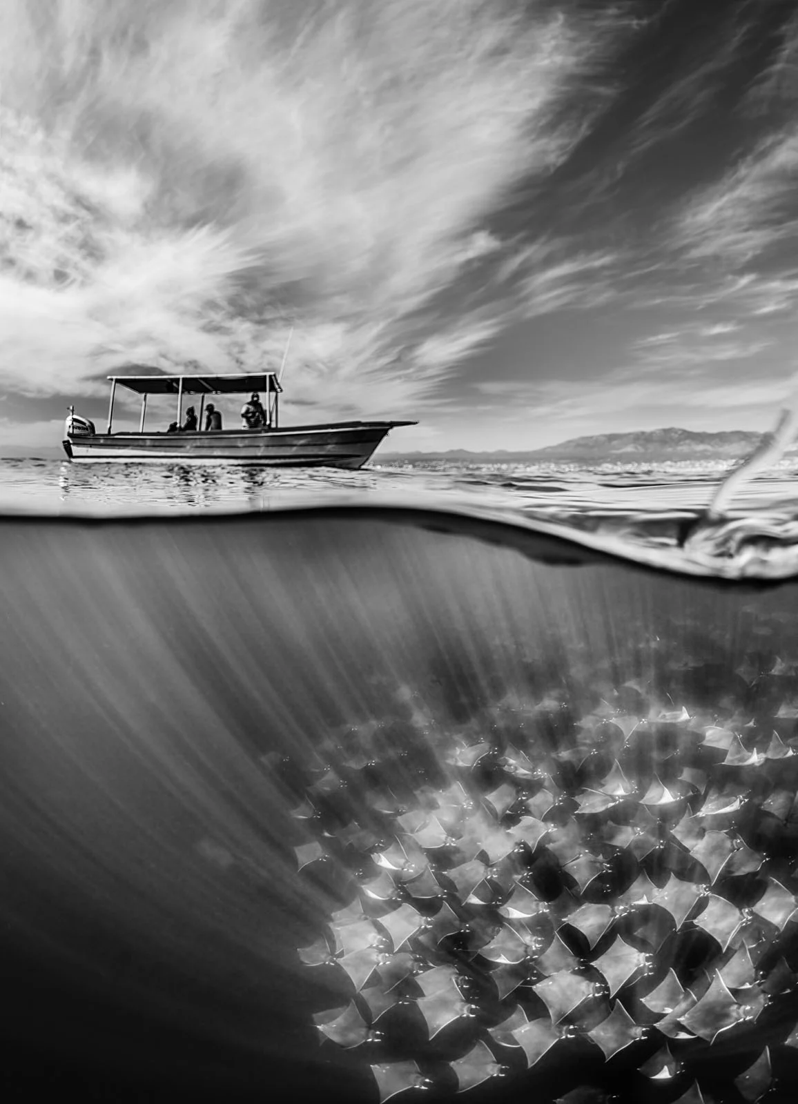 Yılın Seyahat Fotoğrafçısı 2023 Kazananları 12 55 TPOTY 2023 NatureWildlife Win MBroen