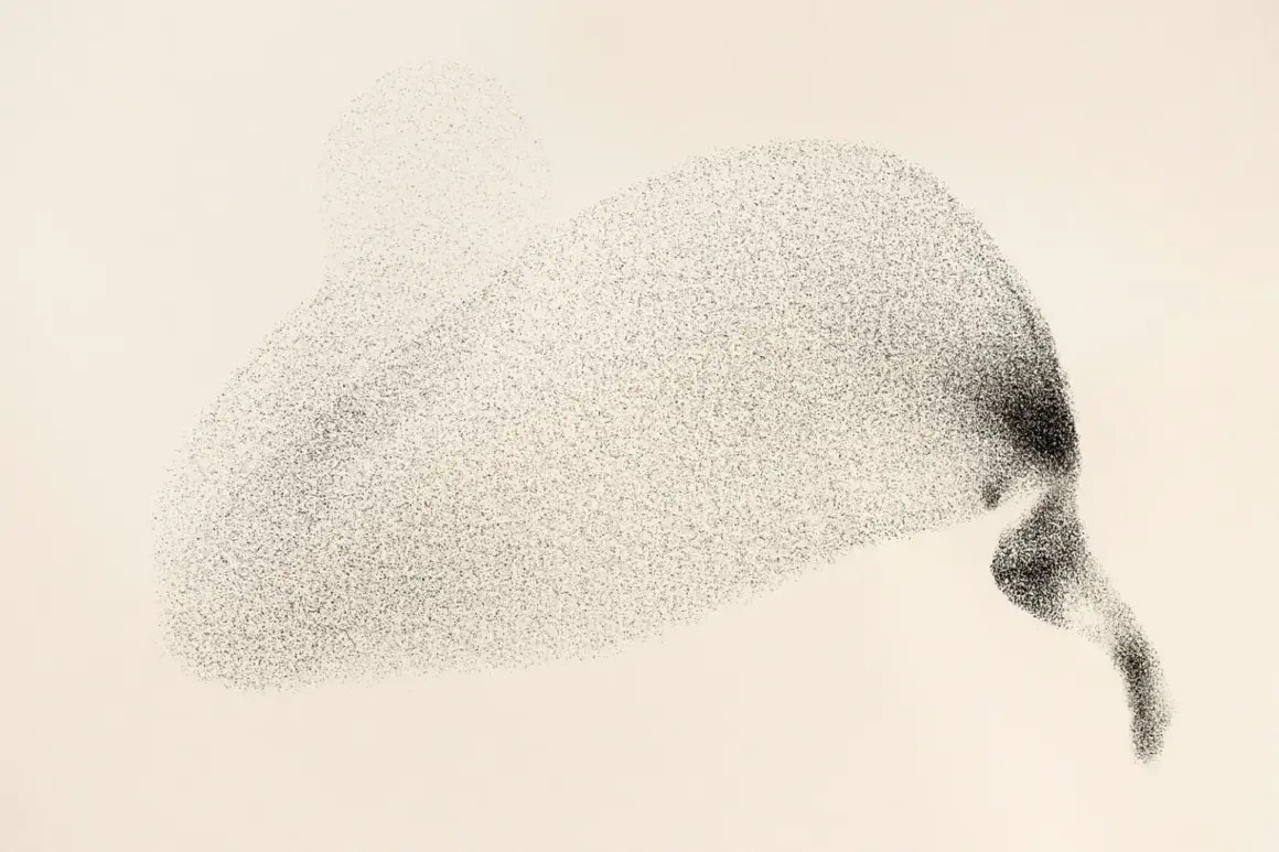 Søren Solkær : Starling 8 BlackSun140 Rome Italy 1 1536x1024 1