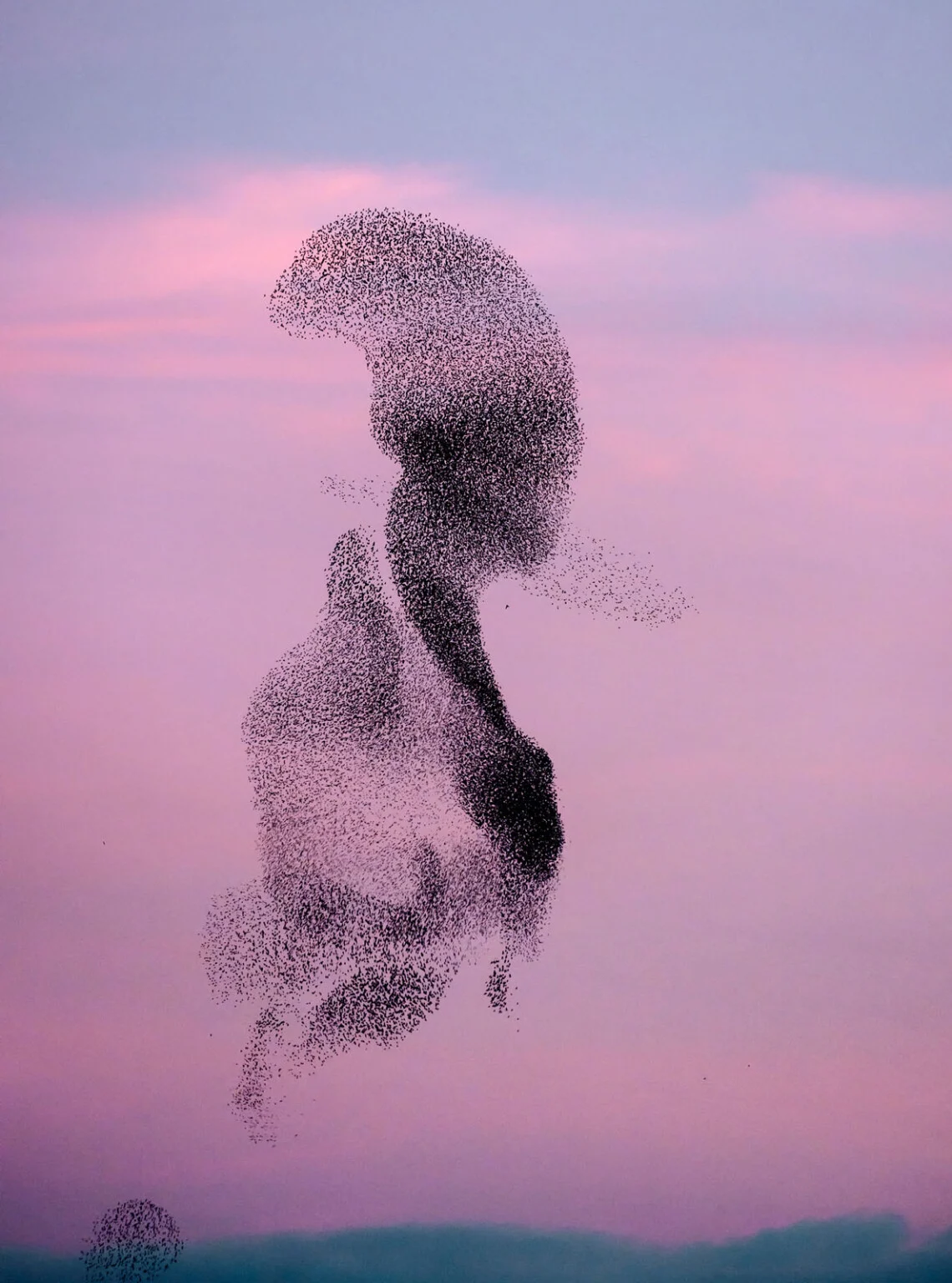Søren Solkær : Starling 5 BlackSun145 Rome Italy 1 1140x1536 1