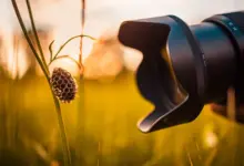 Makro Fotoğrafçılık için En İyi Kameralar 2024 23 Makro Fotografcilik icin En Iyi Kameralar