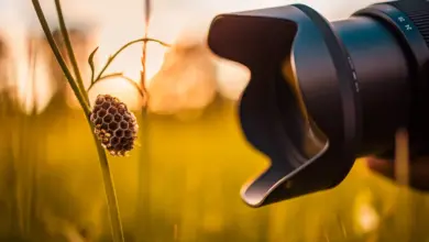 Makro Fotoğrafçılık için En İyi Kameralar 2024 16 Makro Fotografcilik icin En Iyi Kameralar