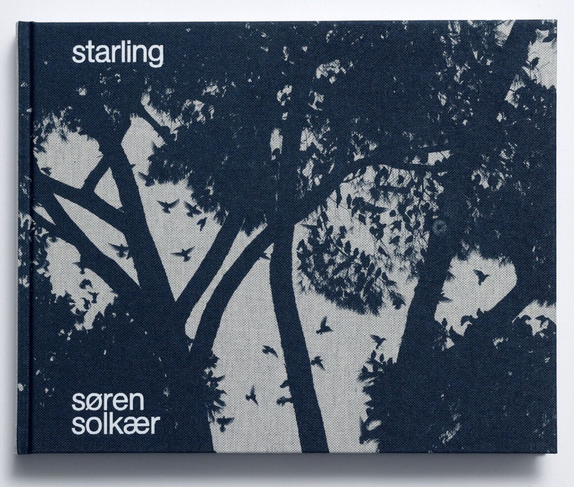 Solkaer Starling 1 1536x1306 1