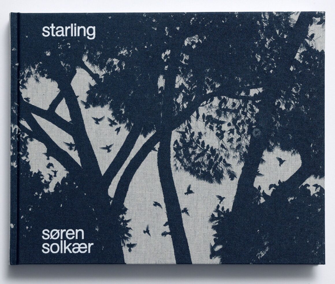 Søren Solkær : Starling 11 Solkaer Starling 1 1536x1306 1