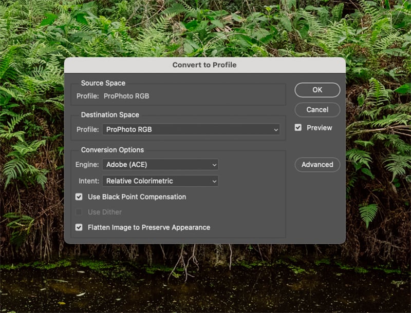 Renk Uzayı Nedir ve Neden Önemlidir? 6 converting color space screenshot