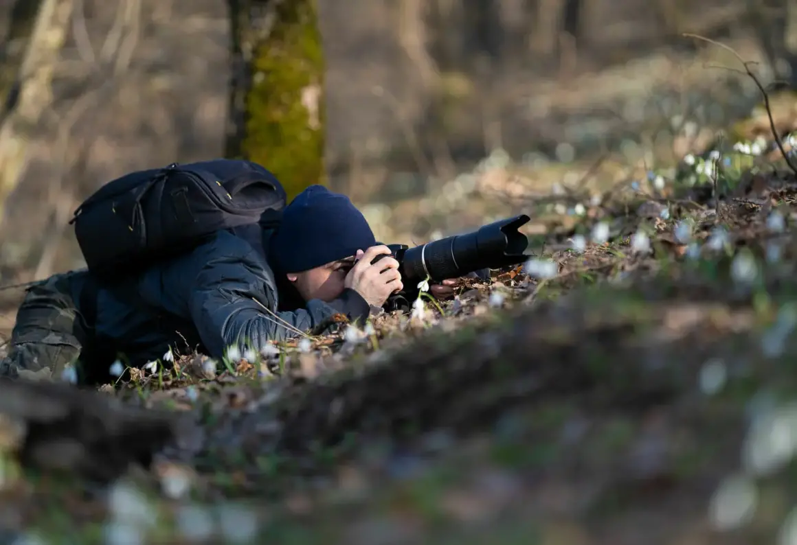 2024'te DSLR ve Aynasızlar: Sizin için En İyi Kamera Hangisi? 9 nature photographer 05