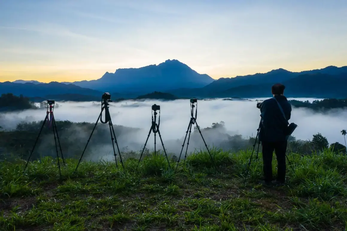 2024'te DSLR ve Aynasızlar: Sizin için En İyi Kamera Hangisi? 7 nature photographer