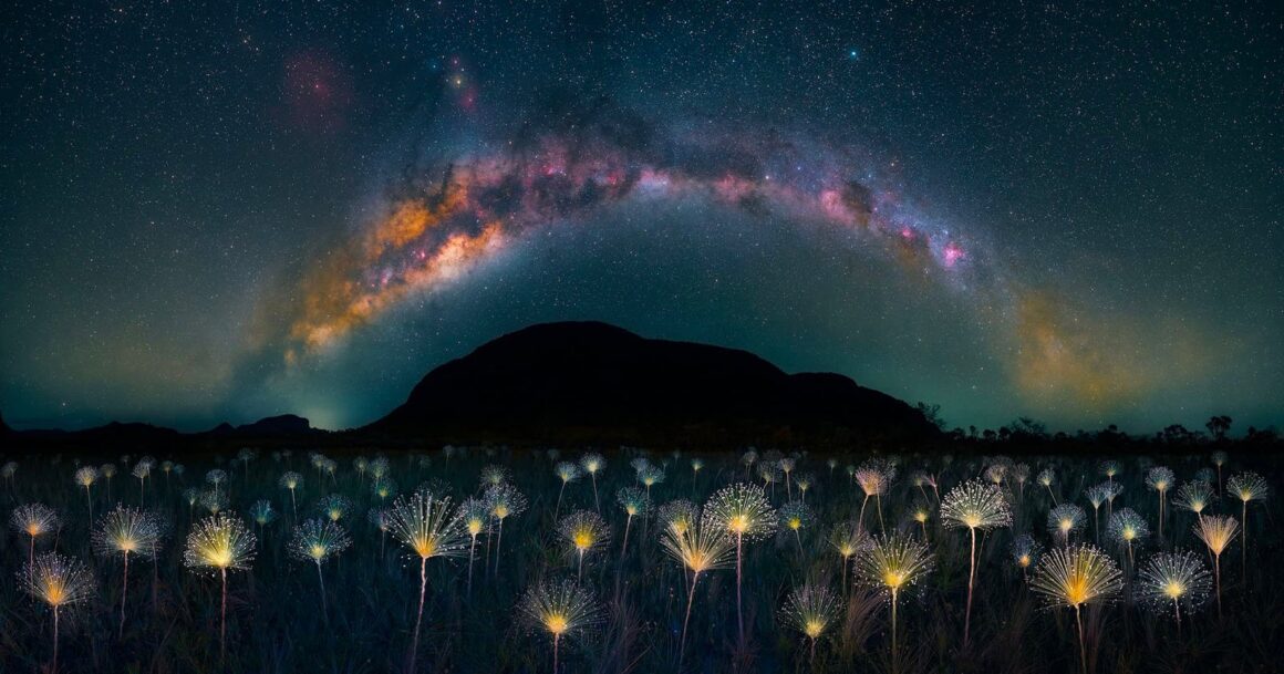 The Nature Photography Contest 2023 1 nature photography contest winners featured image