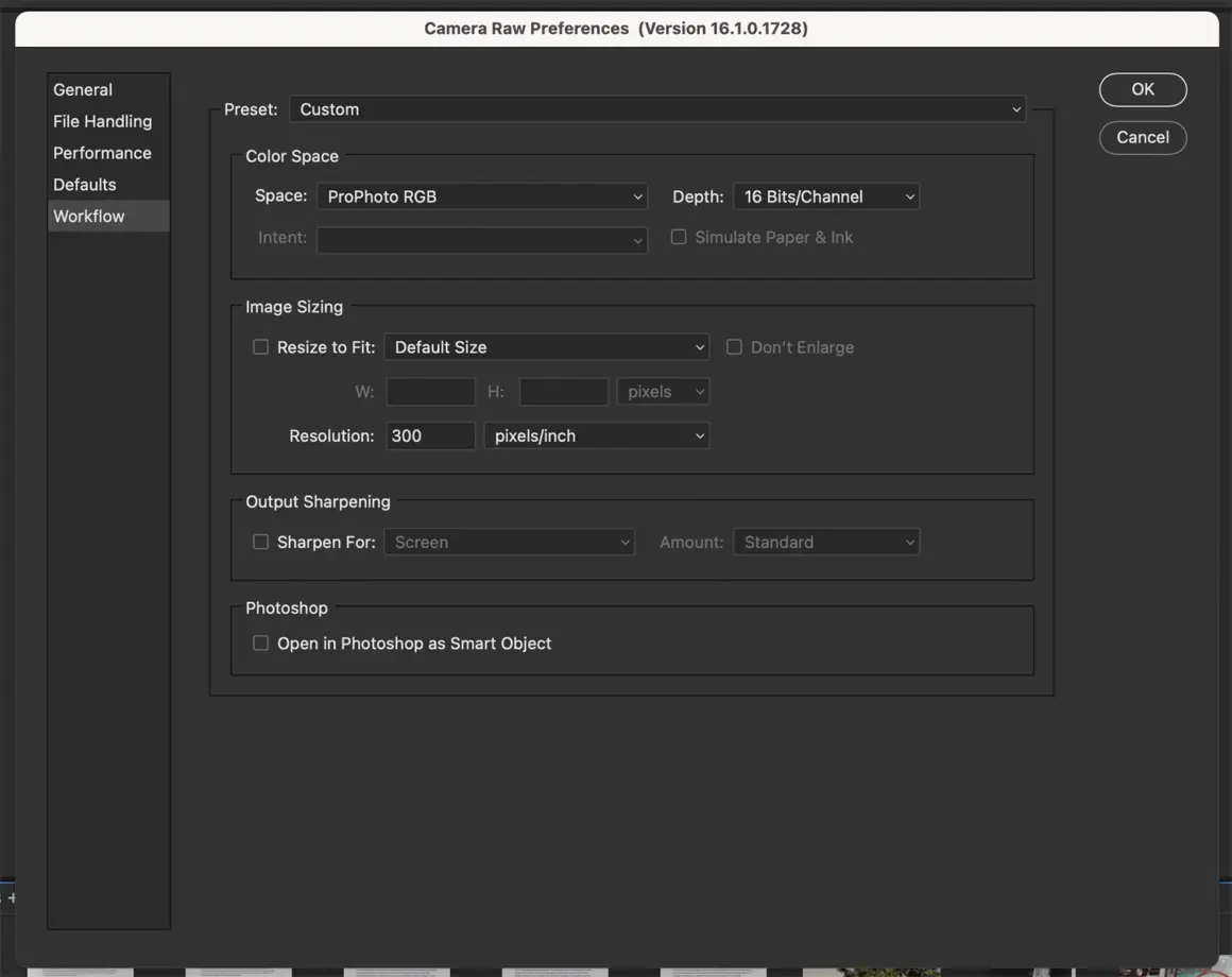 Renk Uzayı Nedir ve Neden Önemlidir? 4 raw color space assignment