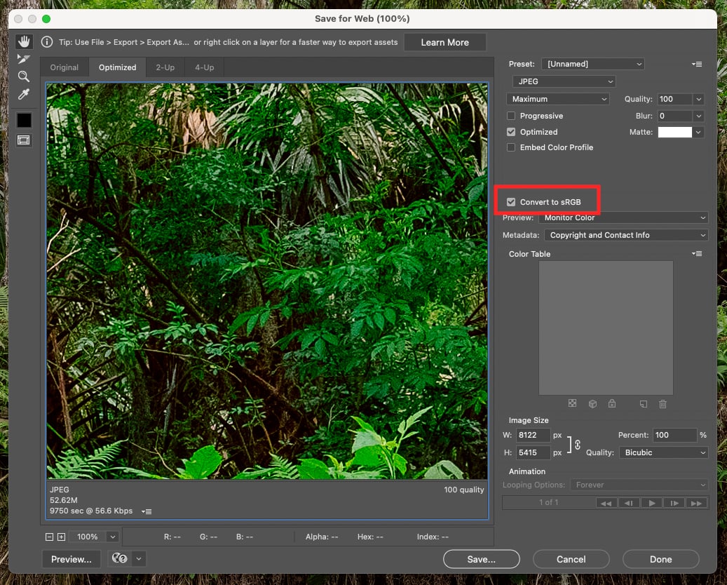 Renk Uzayı Nedir ve Neden Önemlidir? 5 save for web color space conversion 2
