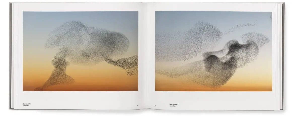 Søren Solkær : Starling 12 starling book spread 01 1 1536x610 1