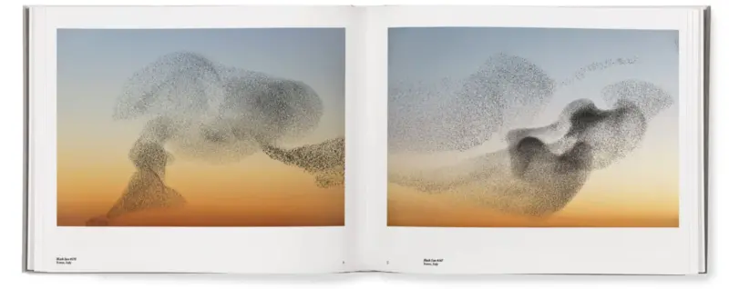 starling book spread 01 1 1536x610 1
