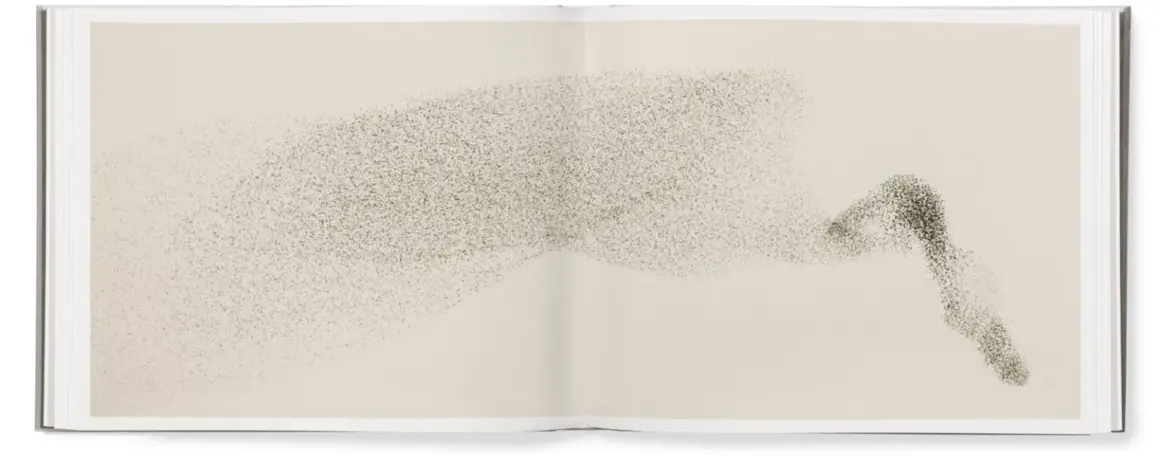 Søren Solkær : Starling 15 starling book spread 05 1 1536x605 1