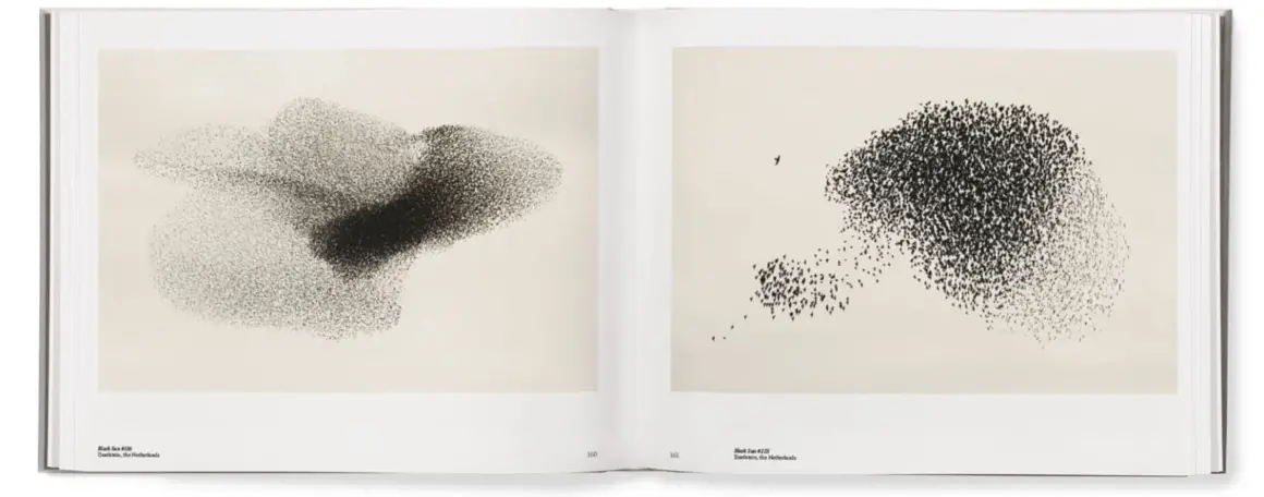 Søren Solkær : Starling 10 starling book spread 11 1 1536x604 1