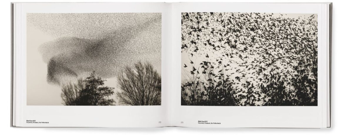 Søren Solkær : Starling 16 starling book spread 13 1 1536x609 1