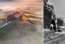 Yılın Seyahat Fotoğrafçısı 2023 Kazananları 12 tpoty 2023 featured 1