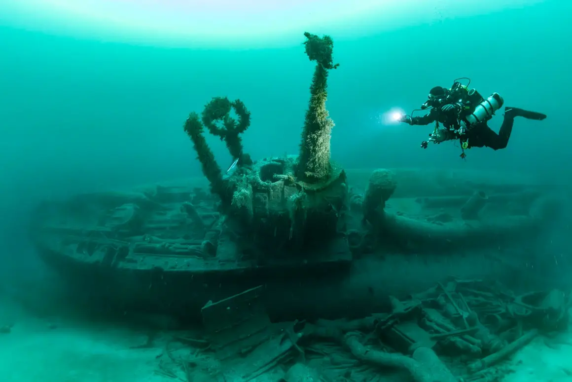 Yılın Sualtı Fotoğrafçısı 2024 28 903RickAyrton