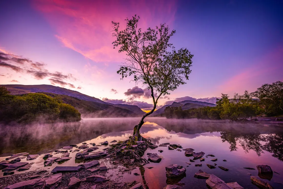 Yılın Uluslararası Bahçe Fotoğrafçısı Botanik Güzelliğini Kutluyor 3 Andrea Graham 443821 breathing spaces