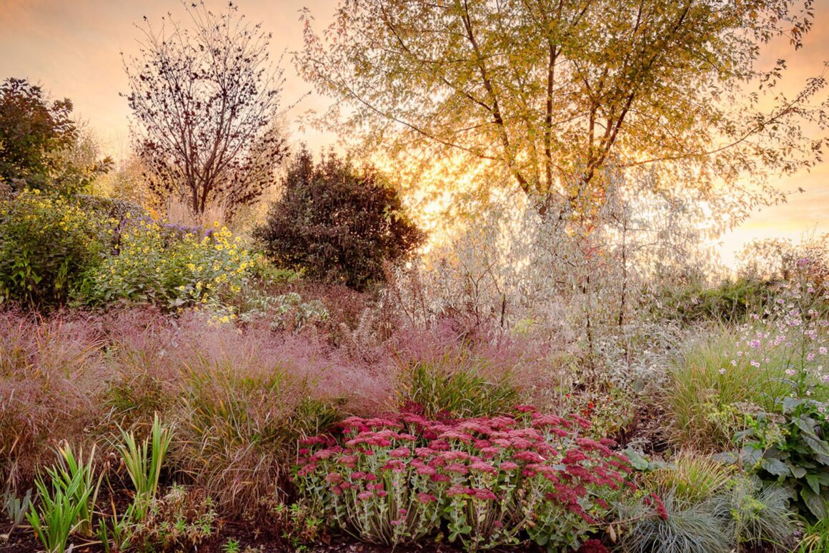 Yılın Uluslararası Bahçe Fotoğrafçısı Botanik Güzelliğini Kutluyor 2 Annie Green Armytage 446673 beautiful gardens