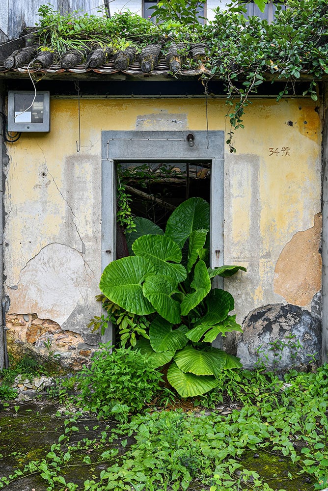 Stefan Irvine : Hong Kong'un Terk Edilmiş Köyleri 11 Stefan Irvine Luk Keng 1 Hong Kong 2019 Courtesy of Blue Lotus Gallery