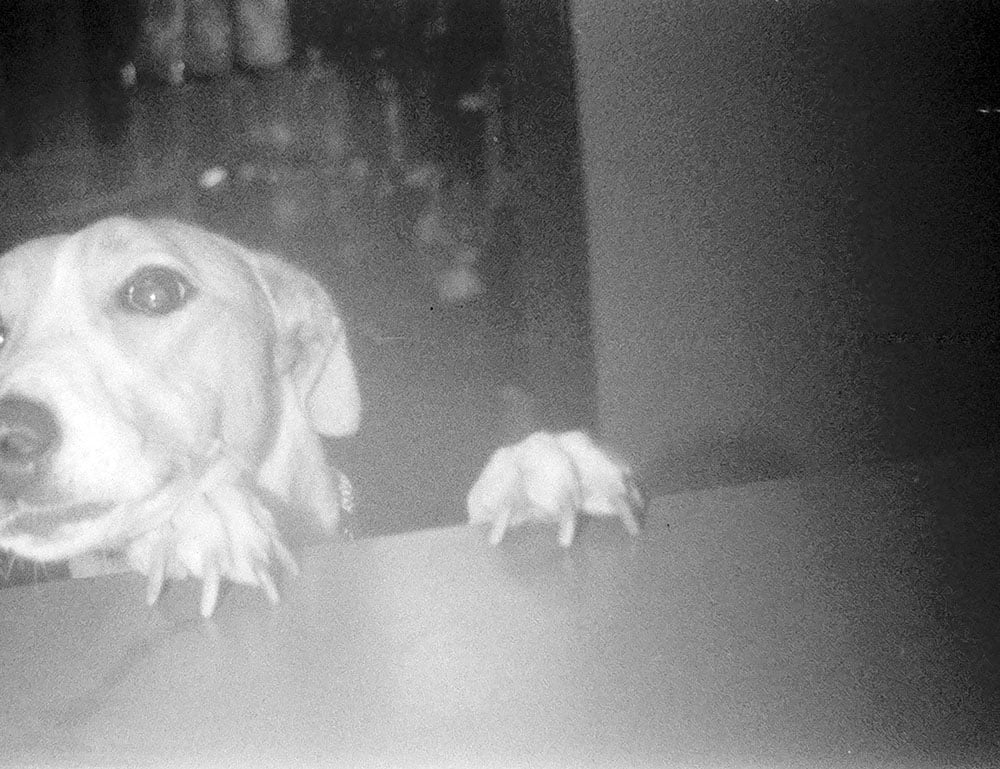 Lomography Lomomatic 110 İncelemesi 2 000015040011