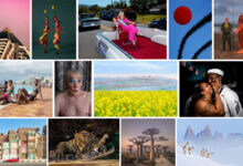 2024 Sony Dünya Fotoğrafçılık Ödülleri kategori kazananları 11 2024 Sony Dunya Fotografcilik Odulleri kategori kazananlari