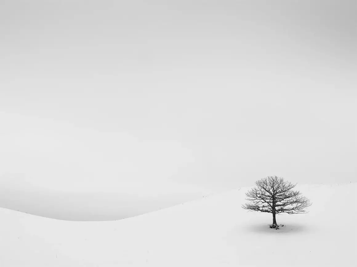 2024 Siyah Beyaz Minimalist Fotoğraf Ödülü 16 A fleeting moment by Robert Bolton