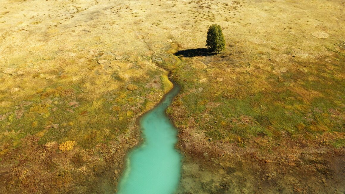 AbrahamLake StasiaSchmidt 1