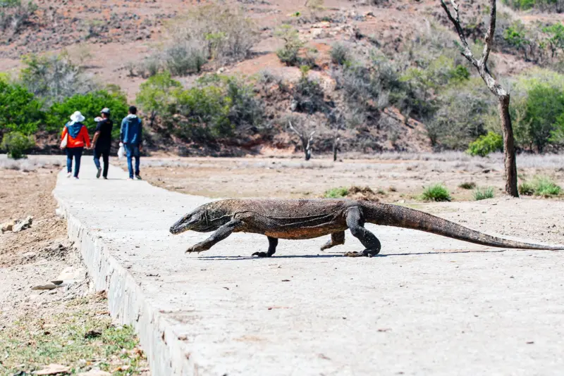 CIDL31 Ahmad Iskandar Bin Abdullah Indonesia