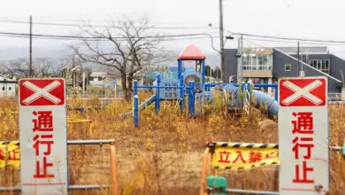 Cecile Asanuma Brice Okaerinasai