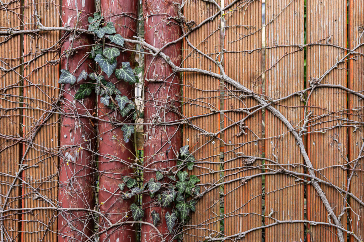 Leica SL3 sample 10 L1000182 acr Andy Westlake AP