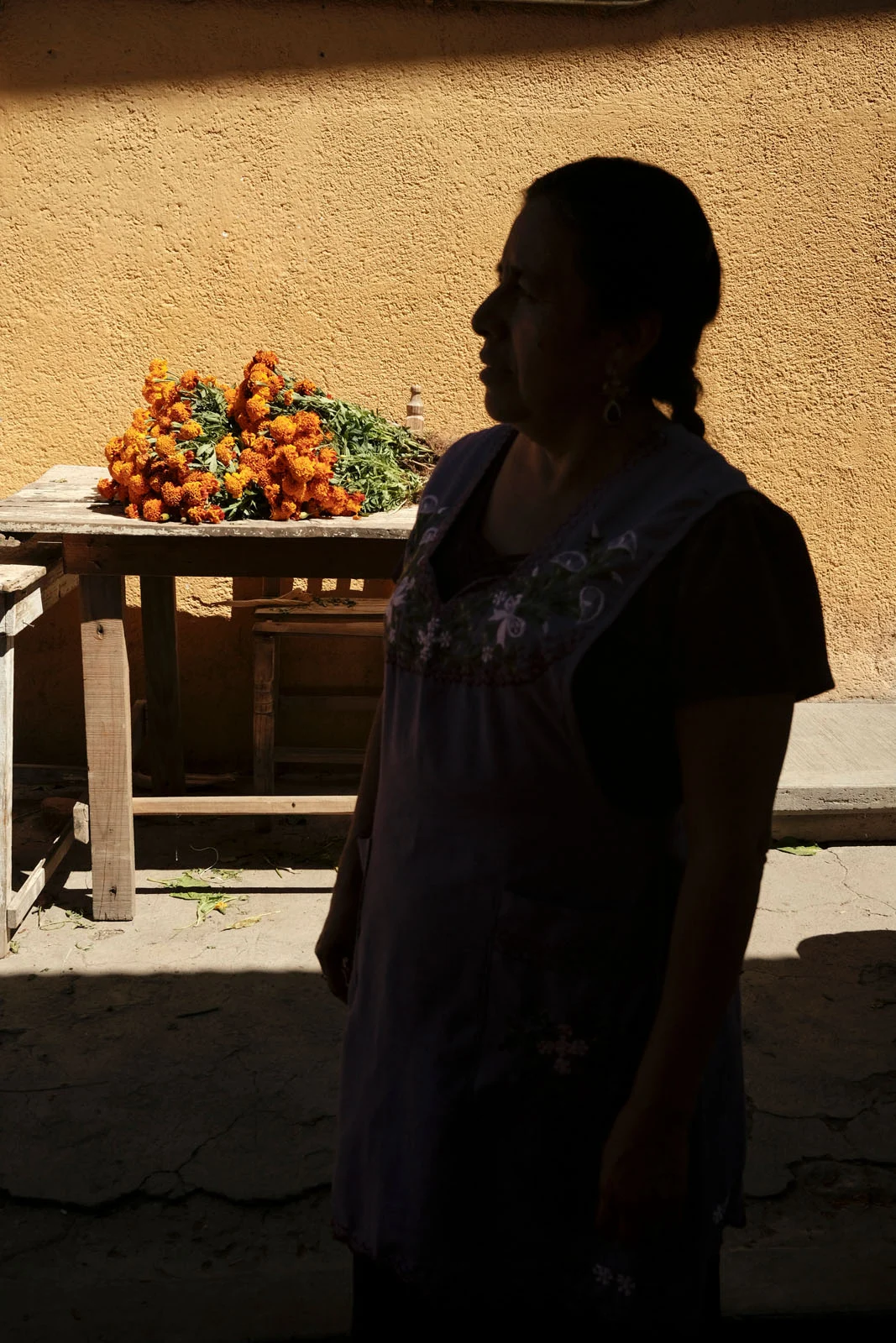 Mom at the market