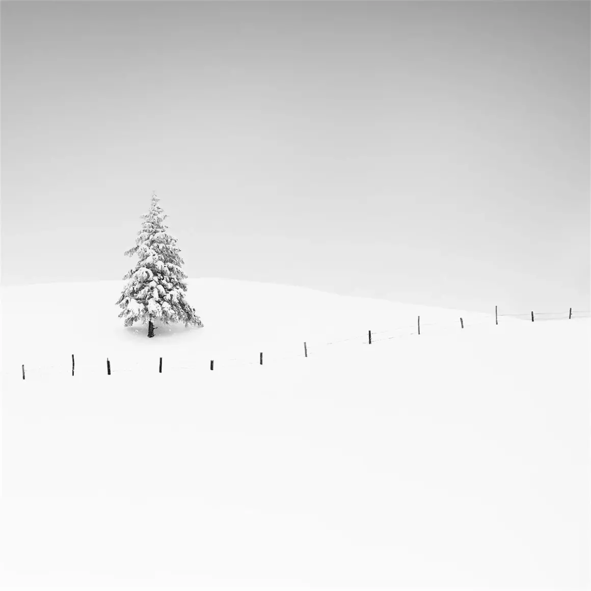 2024 Siyah Beyaz Minimalist Fotoğraf Ödülü 11 Placeholder by Alexej Schulz
