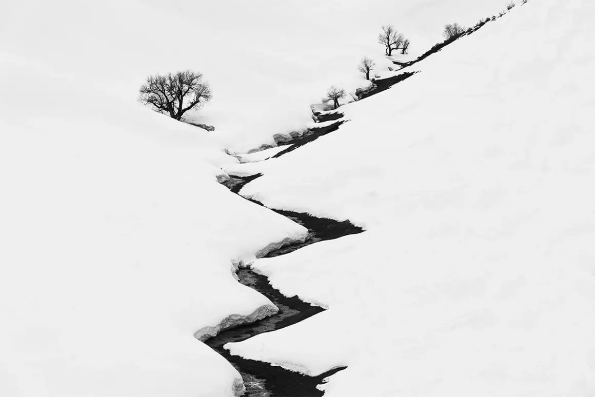 2024 Siyah Beyaz Minimalist Fotoğraf Ödülü 7 Single Tree by Reza Rajaei