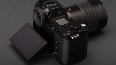Sony a7R V vs Leica SL3 001