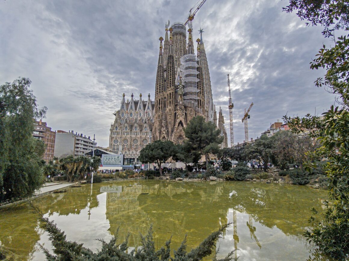 Vivo X100 Pro İncelemesi 9 Vivo X100 Pro photo RAW Lightroom