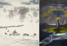 SkyPixel 9. Fotoğraf ve Video Yarışmasının Kazananlarını 4 skypixel ninth annual featured