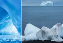 Röportaj: Stasia Schmidt 54 stasia schmidt featured image