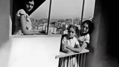 Bu 'Fotoğraf' 84 Yaşındaki Bir Kadının Hafızasından Yapıldı 56 Synthetic Memories
