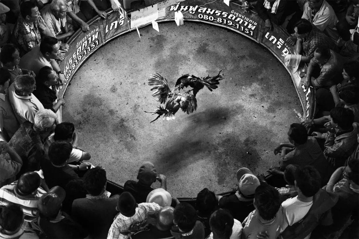 2024 One Shot Fotoğraf Yarışması Kazananları 2 2024 One Shot Fotoğraf Yarışması Kazananları