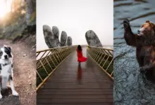 Seyahat Hikayelerini Anlatmak için Adobe Lightroom'un Yeni AI Araçları 11 Adobe Firefly Generative AI Tiffany Nguyen 10