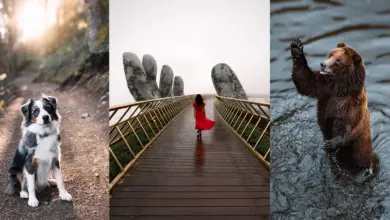 Adobe Firefly Generative AI Tiffany Nguyen 10