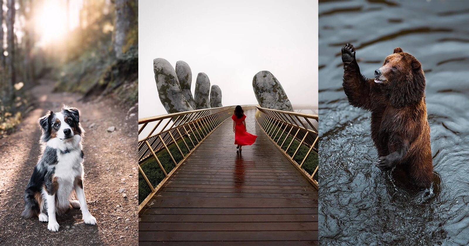 Seyahat Hikayelerini Anlatmak için Adobe Lightroom'un Yeni AI Araçları 1 Adobe Firefly Generative AI Tiffany Nguyen 10 webp