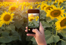 Akıllı Telefonlarla Profesyonel Fotoğraf Çekme Rehberi 9 Akilli Telefonlarla Profesyonel Fotograf Cekme Rehberi