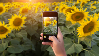 Akıllı Telefonlarla Profesyonel Fotoğraf Çekme Rehberi 8 Akilli Telefonlarla Profesyonel Fotograf Cekme Rehberi
