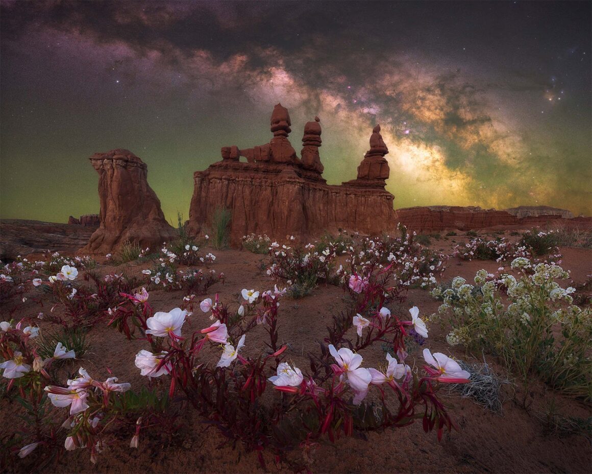 Yılın Samanyolu Fotoğrafçısı 2024'den 15 Güzel Fotoğraf 7 DESERT BLOOM – MARCIN ZAJAC