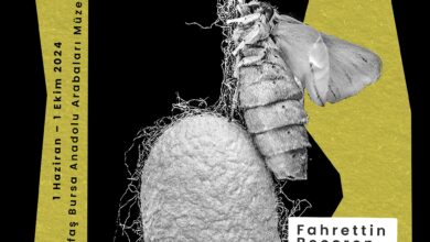 Doğa’nın Sanatı: İpek 5 Ipekbocegi Poster 2 101725529