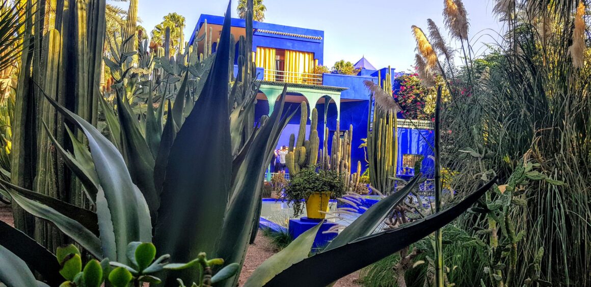 2024'te Ziyaret Edilmesi Gereken En İyi 10 Fotoğrafçılık Lokasyonu 13 Majorelle