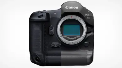canon r3 vs r1 featured