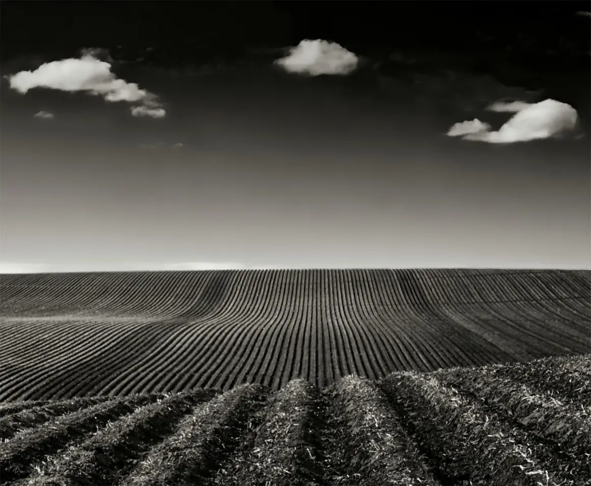 2024 One Shot Fotoğraf Yarışması Kazananları 25 np Exposure One Awards 1037 2024 OSC Larry Bean
